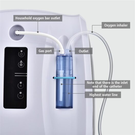 Oxygen Concentrator Machine 1-6L/min Adjustable Portable Oxygen Machine for Home and Travel Use Without Battery AC 110V/220V